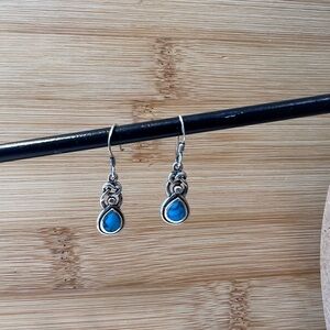 Silver and Blue Teardrop Earrings NWOT